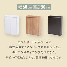 画像をギャラリービューアに読み込む, カウンター下 キャビネット 奥行20 薄型 扉 扉付き収納庫 高さ80 幅60 NO-414